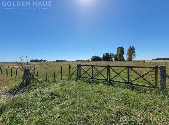 Campo · 50ha