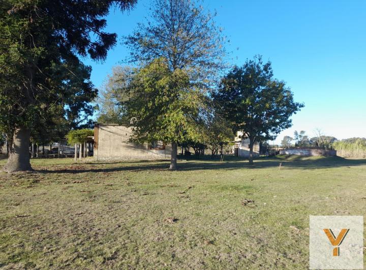 Campo · 21ha