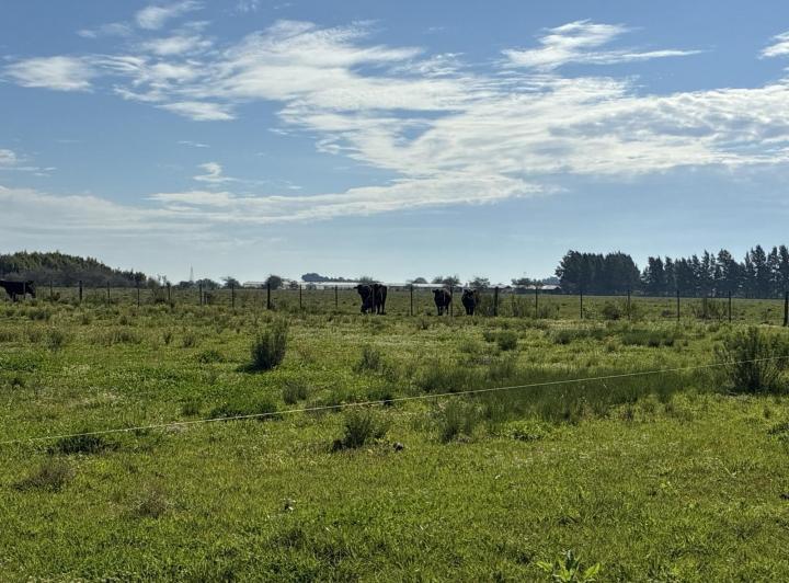 Campo · 100m²