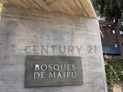 Departamento en alquiler en bosques de maipú
