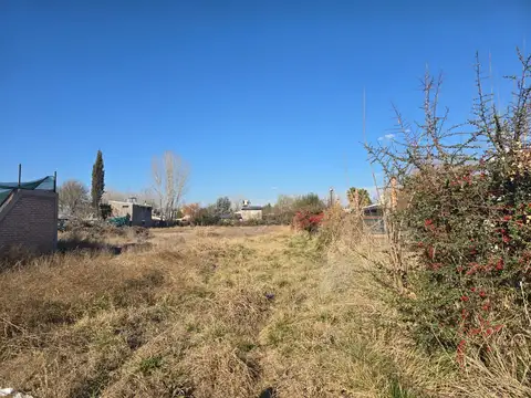 Alquiler de terreno en vistalba 3300 m2