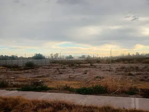 Terreno en venta b° natania 44 | 250 m²