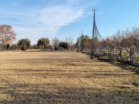 Fracción de 4.887 m² en venta – rivadavia, mendoza