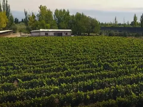 Finca en junín