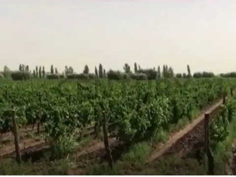 Finca con casco de estancia en palmira