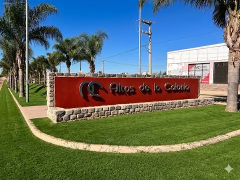 Vende lote en altos de la colonia