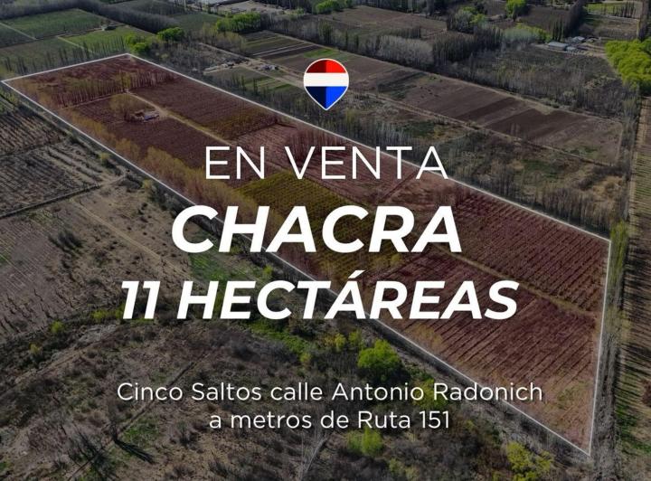 Campo · 11ha