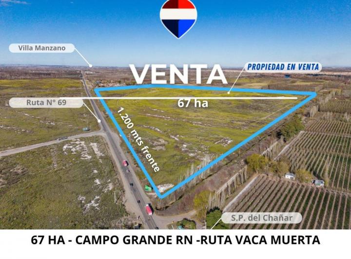 Campo · 67ha