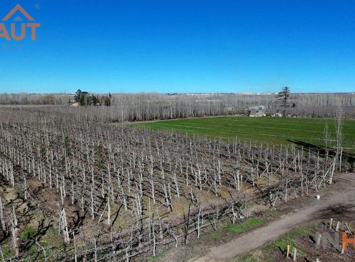 Campo · 20ha · 4 Ambientes