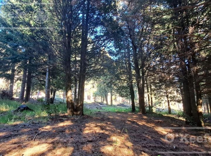 Terreno · 856m²