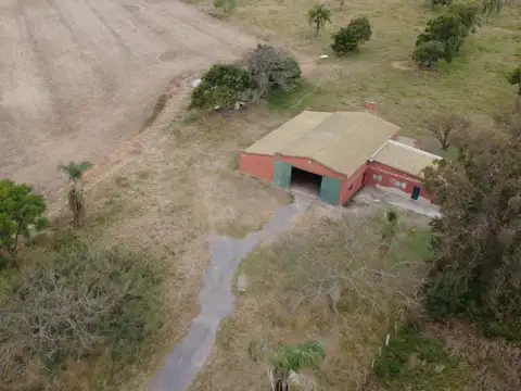 Campo agrícola en venta – la pelada, las colonias