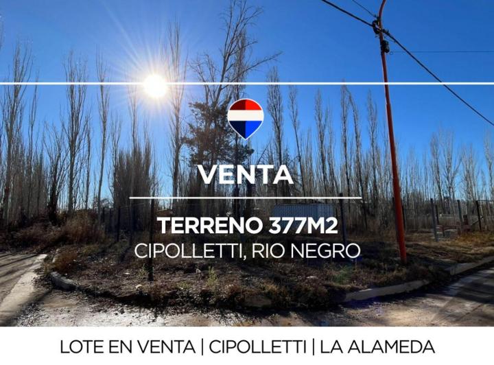 Terreno · 377m²