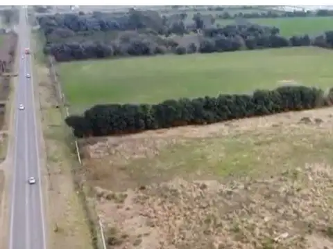 Venta 25 hectáreas granadero baigorria