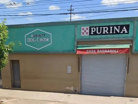 Galpón sobre av. peñaloza