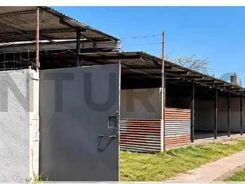 Galpón + tinglado en alquiler | 380 m² de lote | las avenidas