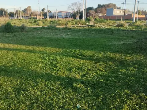 Terreno en venta san carlos