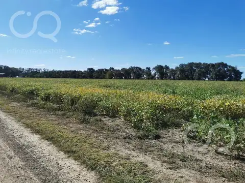 Venta lote 2600 m2, carlos keen