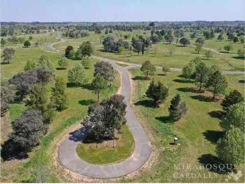 Oportunidad- lote interno al bosque - mirabosques