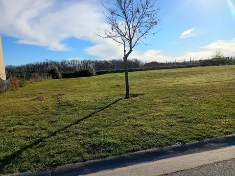 Venta lote barrio san sebastian area 9 pilar