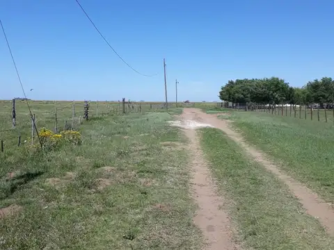 Lote en paraje pavon