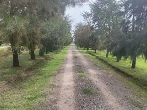 Lote venta san miguel del monte terreno 1.200 m2