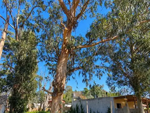 Venta - lote en reserva forestal de atlántida