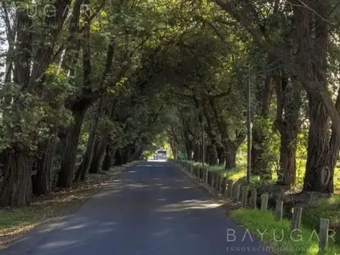 Mchico – lotes en venta en pilar - financiación