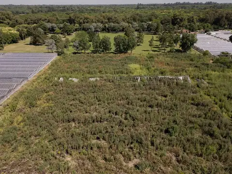 Venta hectáreas en villa elisa