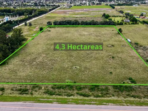 4 ha en venta sobre av. jorge newbery