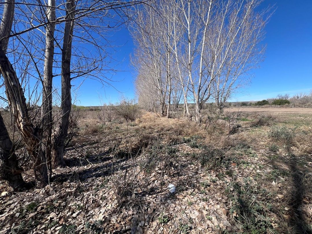 Venta de terreno de 5 hectarias y media en Tunuyan