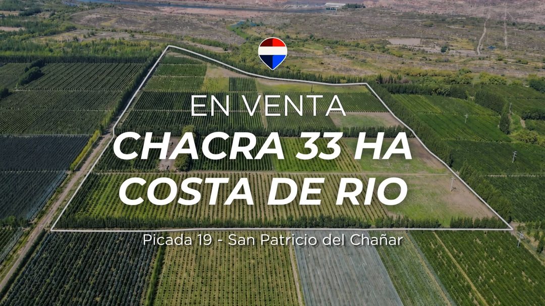 VENTA CHACRA 33,72 HTAS EN PRODUCCION