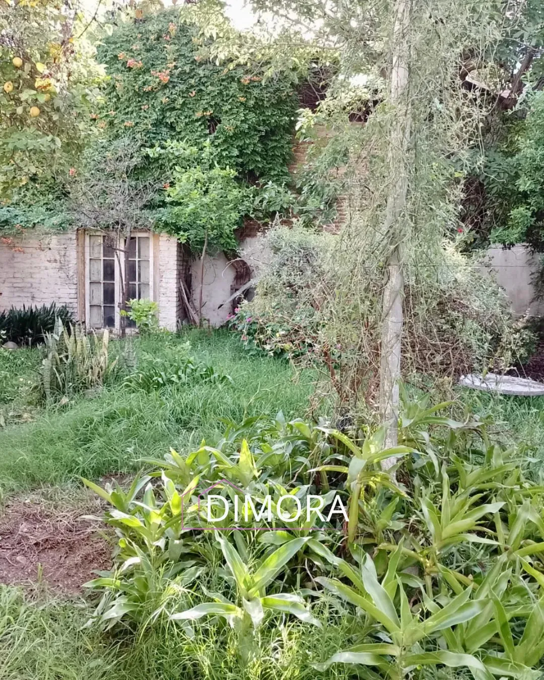 Casa con gran potencial de reciclado en excelente ubicación – Barrio Pueyrredón,