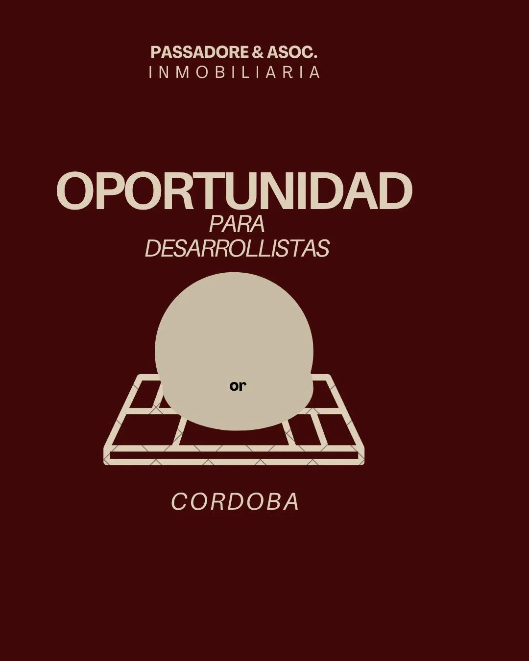 Desarrollistas Barrio Alberdi