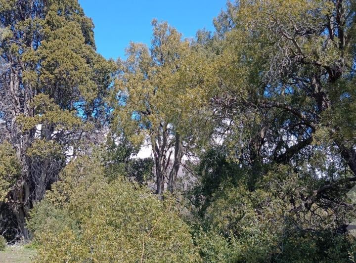 Terreno · 3802m²