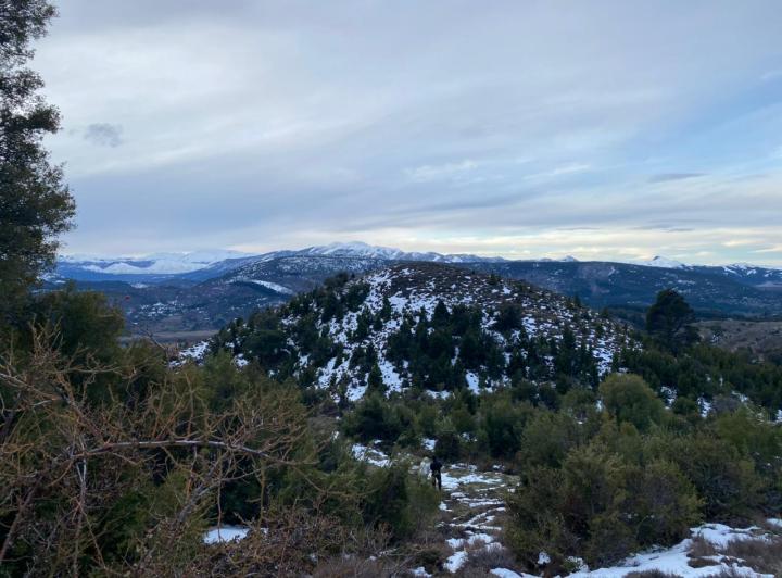Terreno · 1200m²