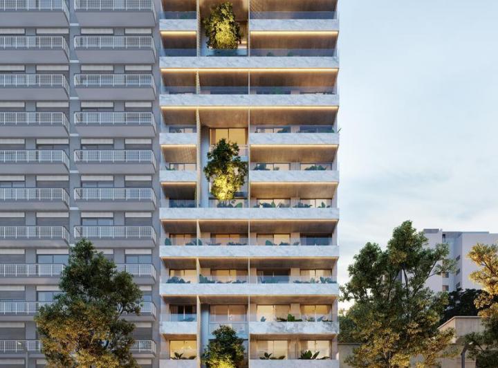 Desarrollo vertical