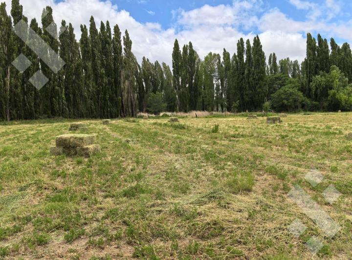 Campo · 20000m² · 4 Ambientes