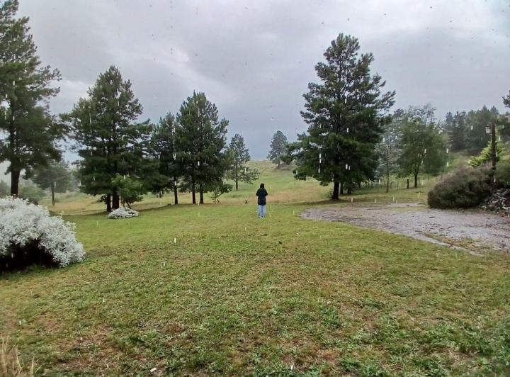 Terreno · 7968m²
