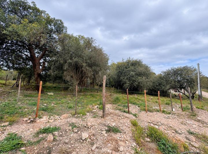 Terreno · 300m²