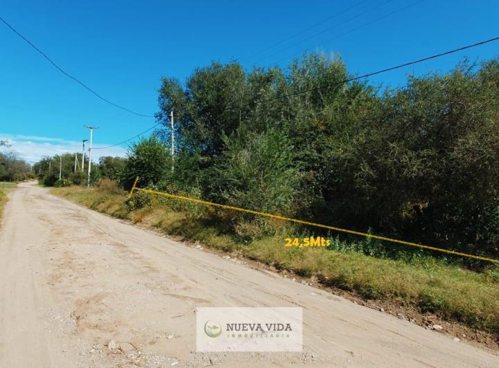 Terreno