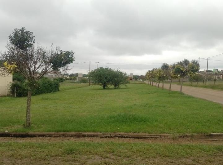 Terreno · 350m²