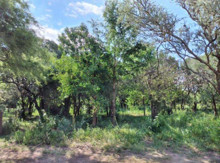 Terreno · 778m²