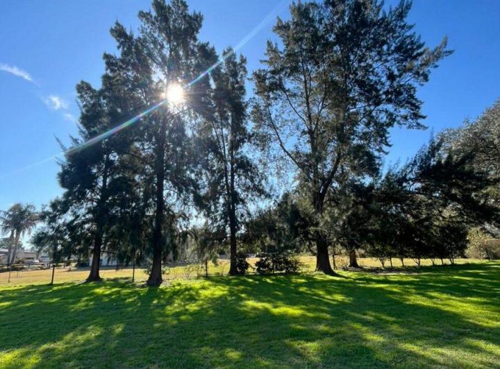 Terreno · 1560m²