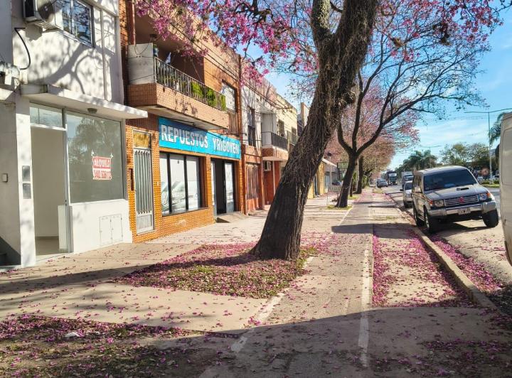 Local comercial · 40m² · 2 Ambientes