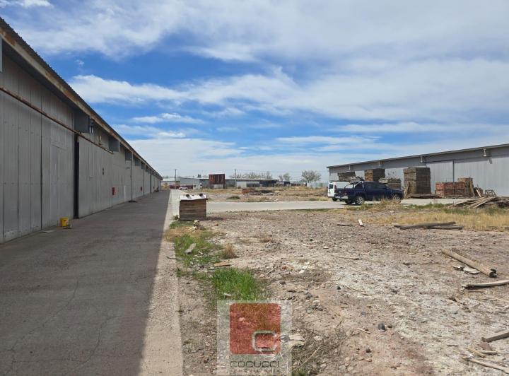 Bodega-Galpón · 600m²