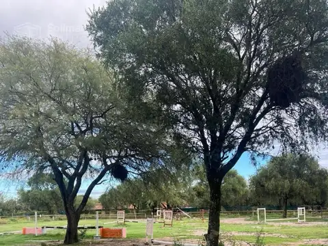Hipico, terreno con casa y dos locales comerciales,