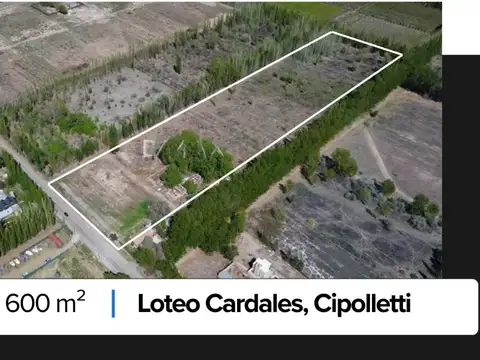 Pre venta! loteo finca cardales, cipolletti