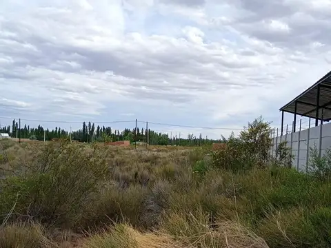 Terreno en lote amedea, plottier
