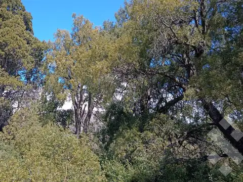 Venta lote 800 m2 - chacay bajo - camino cascada de sepulveda - san martin de los andes