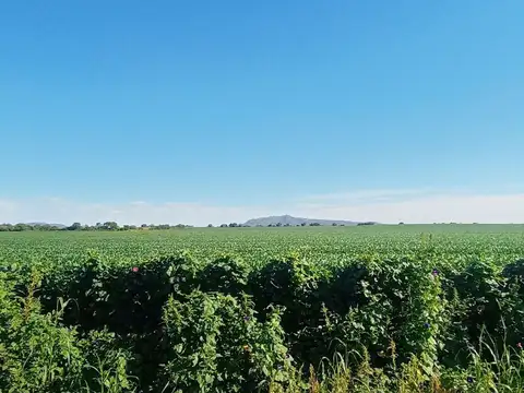 Venta 47 has en santa maria malagueño cordoba